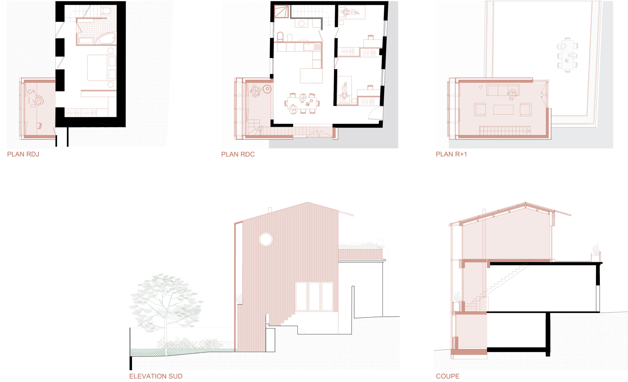 09- NGS- Nicola Spinetto Architectes- PLANCHE PLANS COUPE ELEVATION